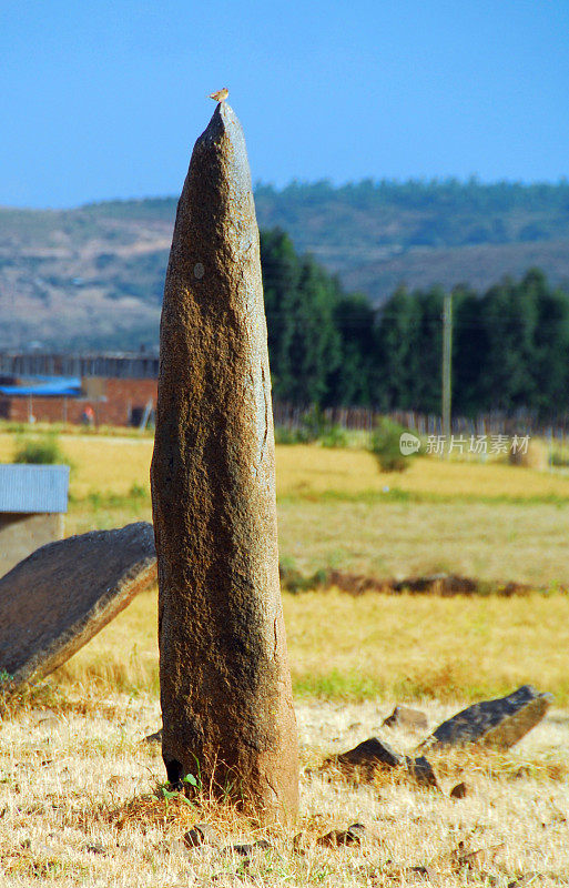 Menhir - Gudit石碑田，埃塞俄比亚